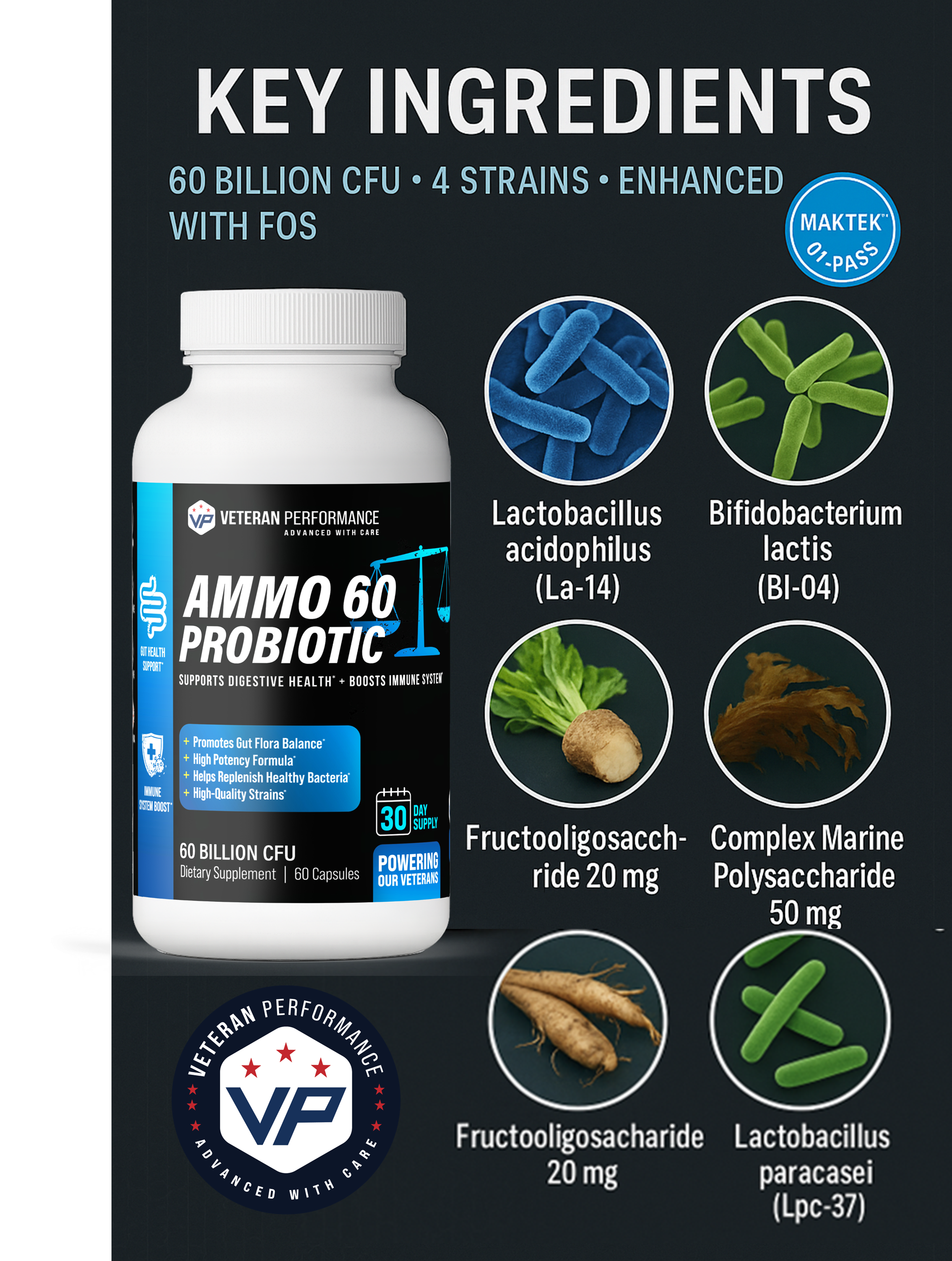 AMMO 60 PROBIOTIC - 60 Billion CFU - Support Digestive Health + Boost Immune System