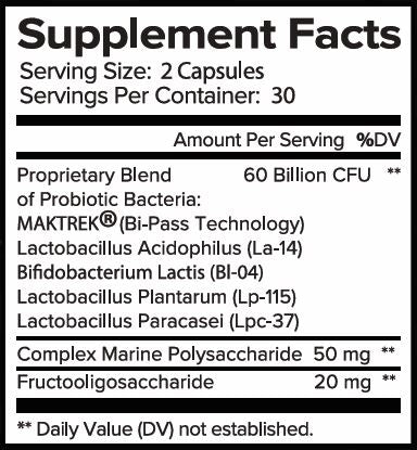 AMMO 60 PROBIOTIC - 60 Billion CFU - Support Digestive Health + Boost Immune System